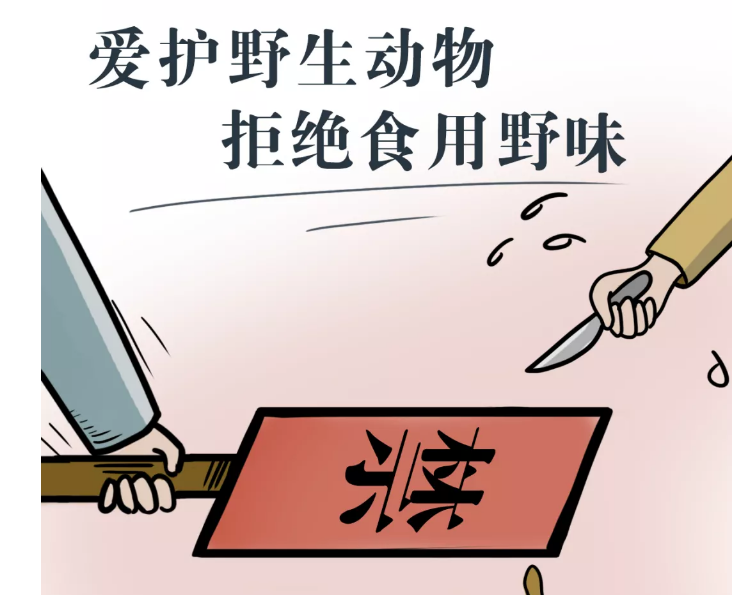 海报 | 全民参与！爱国卫生专项行动，我们这样做