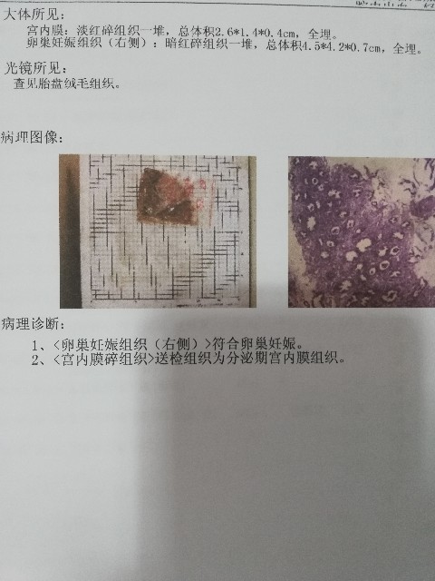 图片13~1.jpg