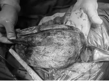 1648777581964948.png image.png