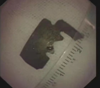 1651886264855832.png image.png